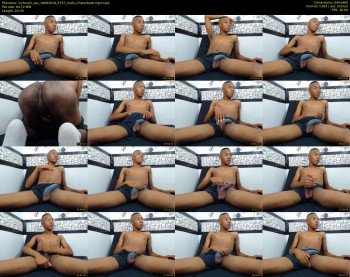 inchcock_sex