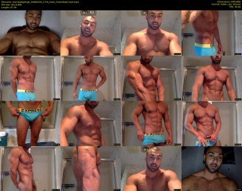 macdaddykingb