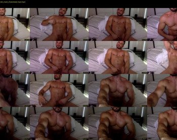 muscleparti