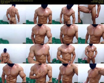 promuscles4u