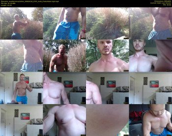southernmuscleken