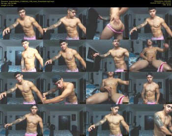 angelovfittxvi
