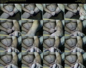 furrybear2