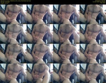 mr_zbra