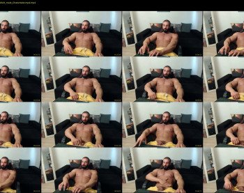 muscle0max