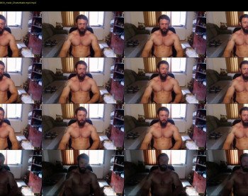 stevebulkzor