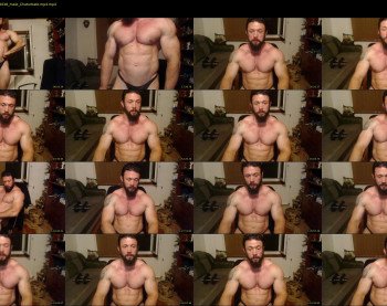 stevebulkzor