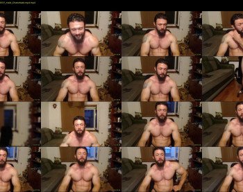 stevebulkzor