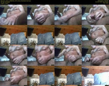 zevio7