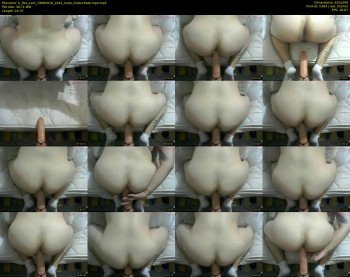 h_flex_cam