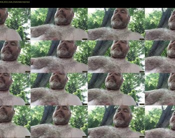 pandabearlight
