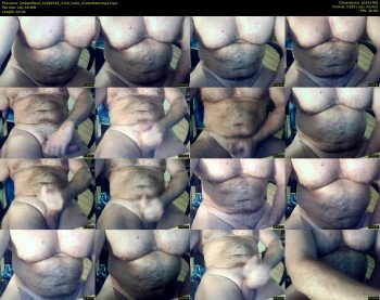 jimbeefbear