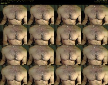 mrchest2017