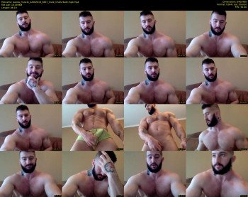 panda_muscle
