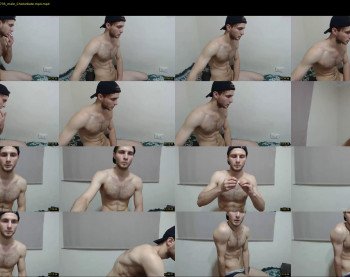 papimodels