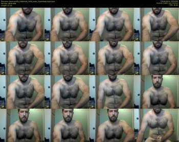 bearcam93