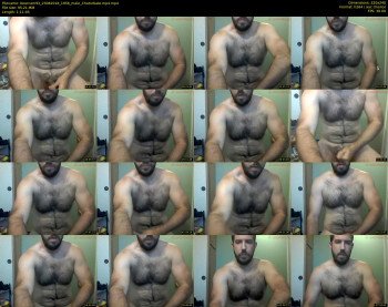 bearcam93