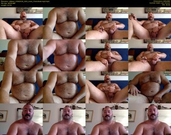 cjbbear