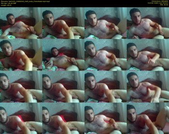 fael1221