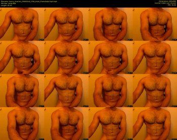 horny_muscle1
