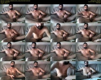 kingcat82