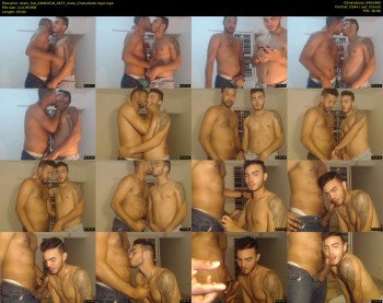 team_hot