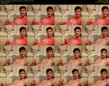 zestydragon
