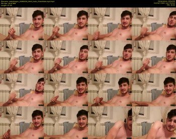 zestydragon