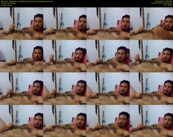 alfabringo1