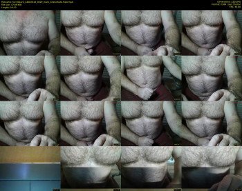 furrybear2