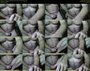 furrybear2