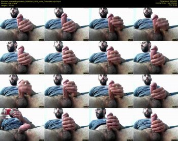 masterdegalimesta