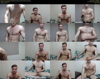papimodels