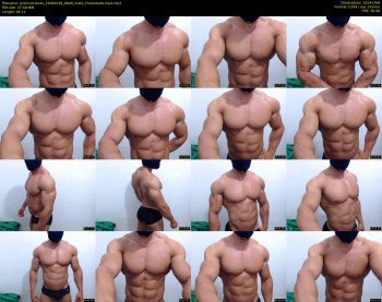 promuscles4u
