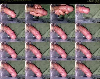 taconightporno