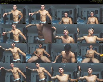 angelovfittxvi