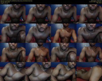 apollodarkmn