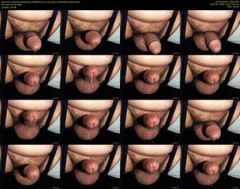 fatmansdickasart