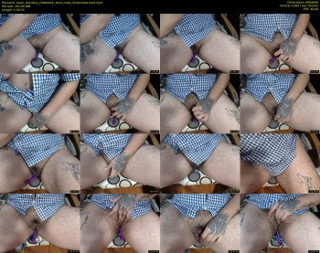 team_transboy