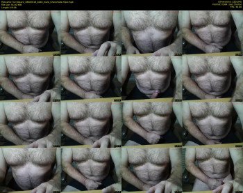 furrybear2