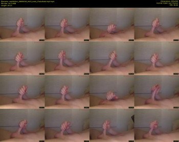 sexhibition