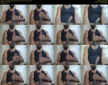 bigbicho7
