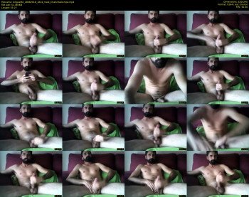kingcat82