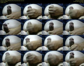 slaphot