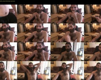 admiral_stud