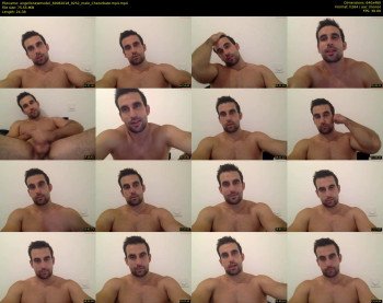 angellonewmodel
