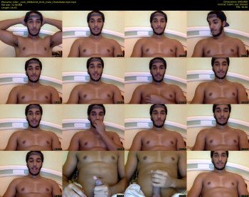 killer__cock