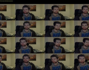 pwnforwildy
