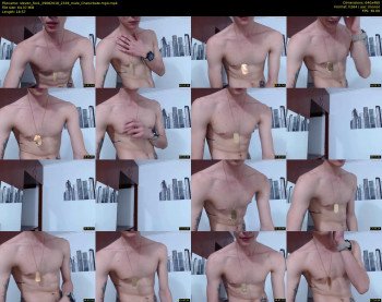 steven_fox1