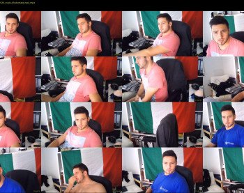 tartaruga88
